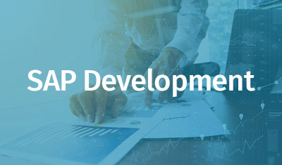 SAP Development
